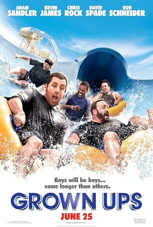 Grown Ups DVD - movie cover art