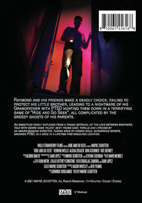 Hide and Go Seek (MOD) (DVD Movie) - back cover art
