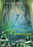 Hollywood's Magical Island - Catalina (MOD) (DVD Movie) - movie cover art