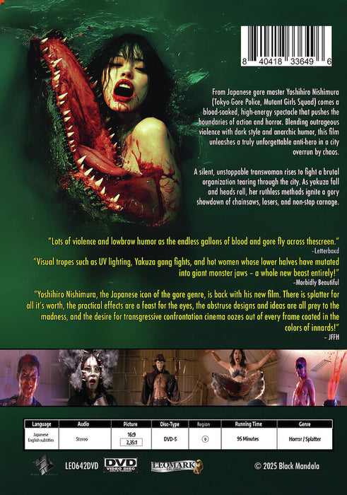 Holy Mother (MOD) (DVD Movie) - back cover art
