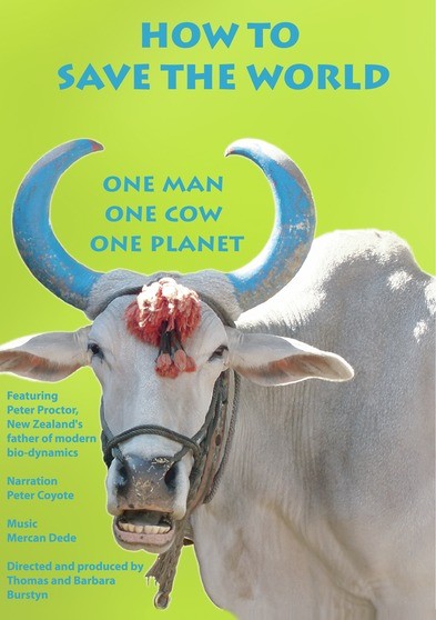 How to Save the World (MOD) (DVD Movie) - movie cover art
