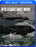 Into Flight Once More (MOD) (BluRay Movie) - movie cover art
