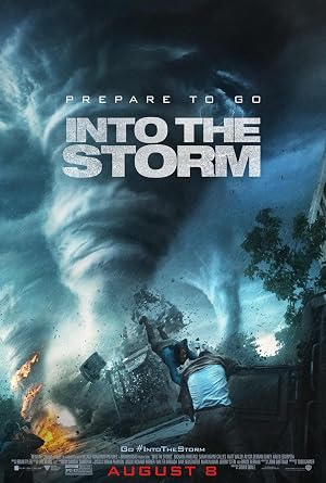 Into the Storm DVD - movie cover art