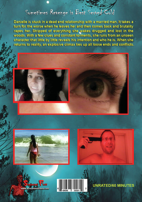Into the Woods (MOD) (DVD Movie) - back cover art