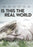 Is This The Real World (MOD) (DVD Movie) - movie cover art