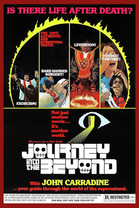 Journey into the Beyond (Anamorphic Widescreen Editon) (MOD) (DVD Movie) - movie cover art