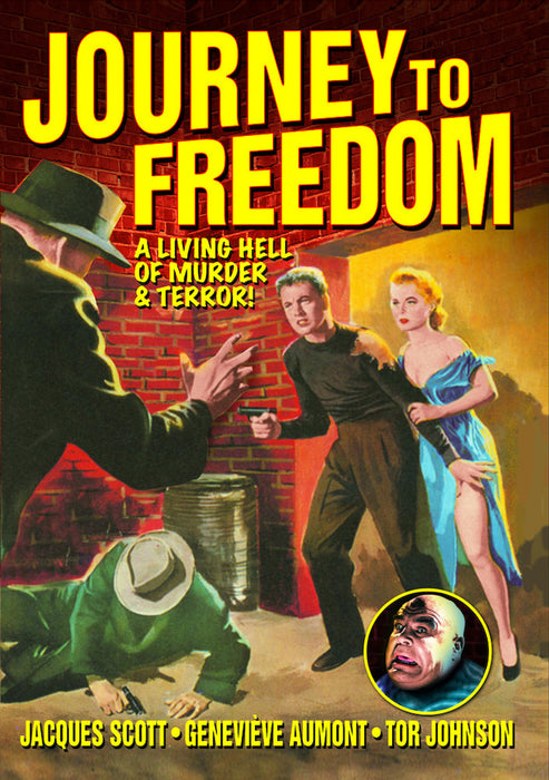 Journey to Freedom (MOD) (DVD MOVIE)