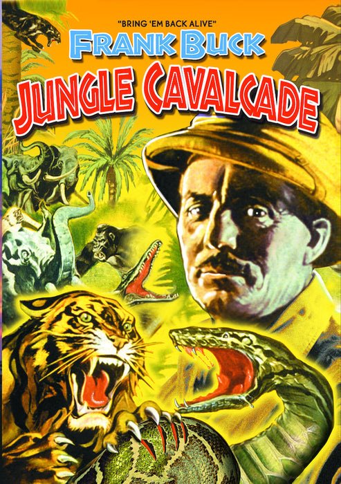 Jungle Cavalcade (MOD) (DVD MOVIE)