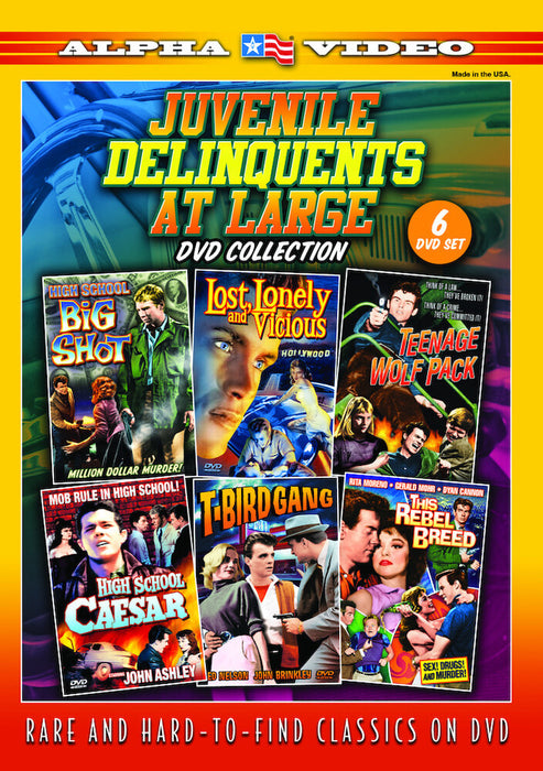 Juvenile Delinquents At Large DVD Collection (MOD) (DVD Movie) - movie cover art