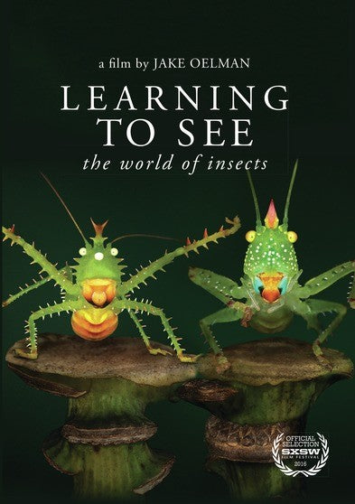 Learning to See: The World of Insects (MOD) (DVD Movie) - movie cover art