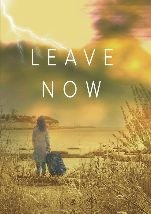 Leave Now (MOD) (DVD Movie) - movie cover art