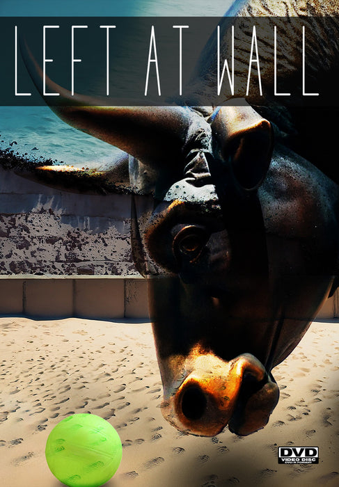 Left at Wall (MOD) (DVD Movie) - movie cover art