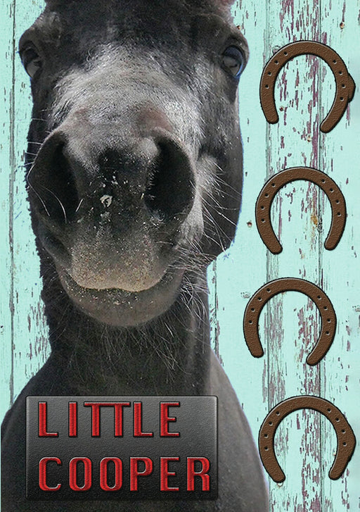 Little Cooper (MOD) (DVD Movie) - movie cover art