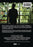 Lonely Boy (MOD) (DVD Movie) - back cover art