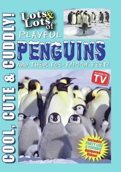 Lots & Lots of Playful Penguins aqnd Their Toe-Tappin Feet (MOD) (DVD Movie) - movie cover art