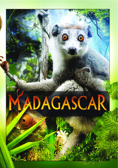 Madagascar (MOD) (DVD Movie) - movie cover art