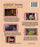 Mammory Melters: Mind Melters 89-92 (MOD) (BluRay Movie) - back cover art