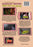 Mammory Melters: Mind Melters 89-92 (MOD) (DVD Movie) - back cover art