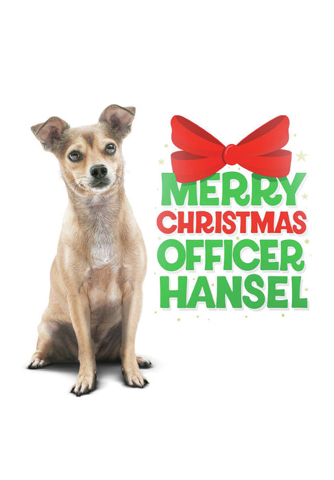 Merry Christmas Officer Hansel (MOD) (DVD Movie) - movie cover art