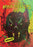 Mind Melters 45 (MOD) (DVD Movie) - movie cover art