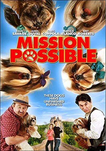 Mission Possible DVD - movie cover art