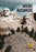 Modern Marvels: Mount Rushmore (MOD) (DVD Movie) - movie cover art