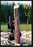 Mujaan (the Craftsman) (MOD) (DVD Movie) - movie cover art