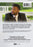 My Sweet Next Day (MOD) (DVD Movie) - back cover art