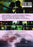 My True Fairytale (MOD) (DVD Movie) - back cover art