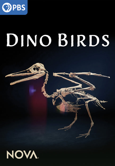 NOVA: Dino Birds (MOD) (DVD Movie) - movie cover art