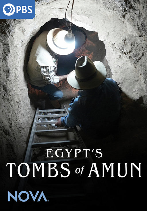NOVA: Egypt's Tombs of Amun (MOD) (DVD Movie) - movie cover art