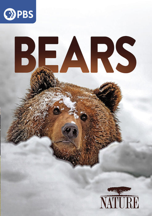 Nature: Bears (MOD) (DVD Movie) - movie cover art