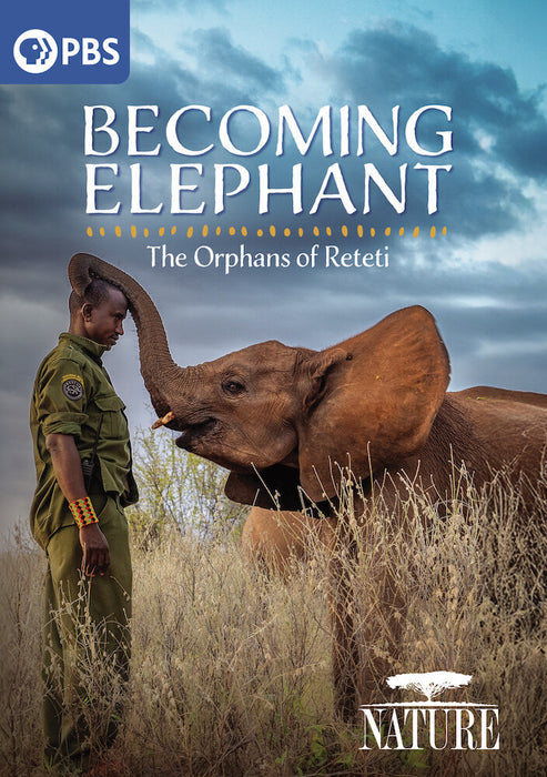 Nature: Becoming Elephant - The Orphans of Reteti (MOD) (DVD Movie) - movie cover art