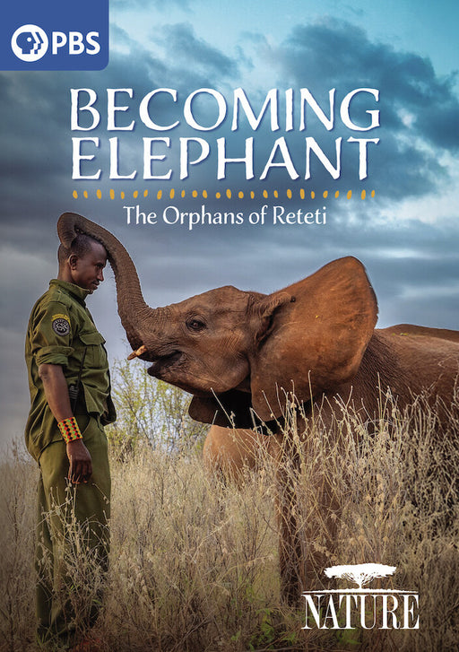 Nature: Becoming Elephant - The Orphans of Reteti (MOD) (DVD Movie) - movie cover art