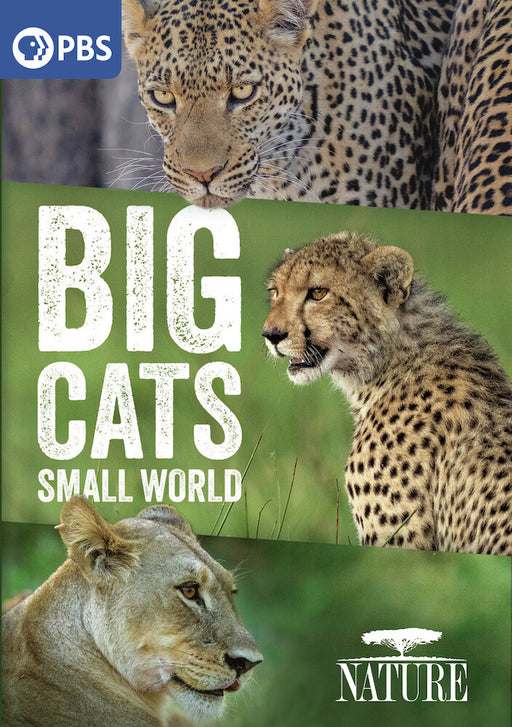 Nature: Big Cats, Small World (MOD) (BluRay Movie) - movie cover art