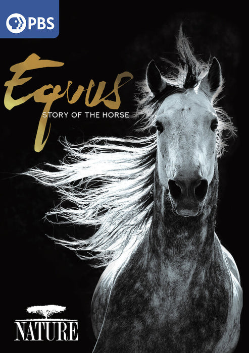 Nature: Equus: Story of the Horse (MOD) (DVD Movie) - movie cover art