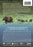 Nature: Grizzly 399 - Queen of the Tetons (MOD) (DVD Movie) - back cover art