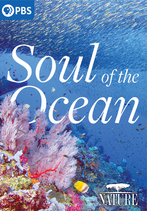 Nature: Soul of the Ocean (MOD) (DVD MOVIE)