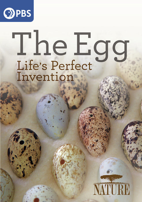 Nature: The Egg - Life's Perfect Invention (MOD) (DVD Movie) - movie cover art