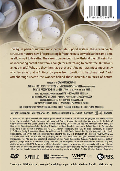 Nature: The Egg - Life's Perfect Invention (MOD) (DVD Movie) - back cover art