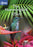 Nature: The Hummingbird Effect (MOD) (DVD Movie) - movie cover art