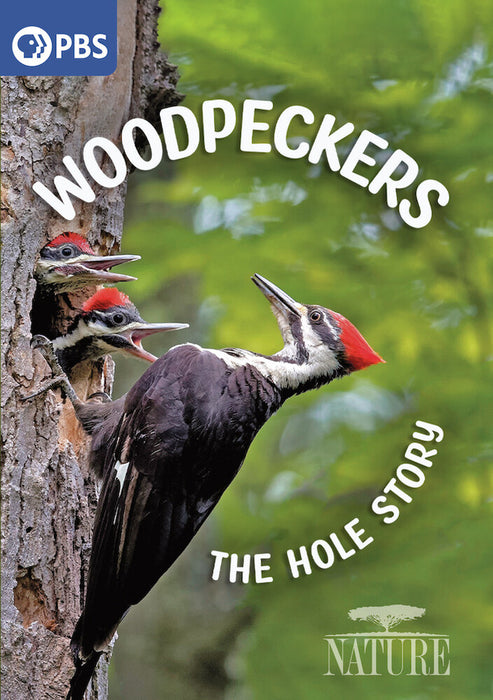Nature: Woodpeckers - The Hole Story (MOD) (BluRay Movie) - movie cover art