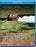 Nenuphar (MOD) (BluRay Movie) - movie cover art