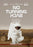 No Turning Back (MOD) (DVD Movie) - movie cover art