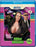Odder Noggins (MOD) (BluRay Movie) - movie cover art