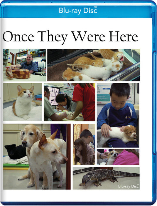 Once They Were Here (MOD) (BluRay Movie) - movie cover art