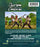 Once Upon a Time in the Caribbean (MOD) (BluRay Movie) - back cover art