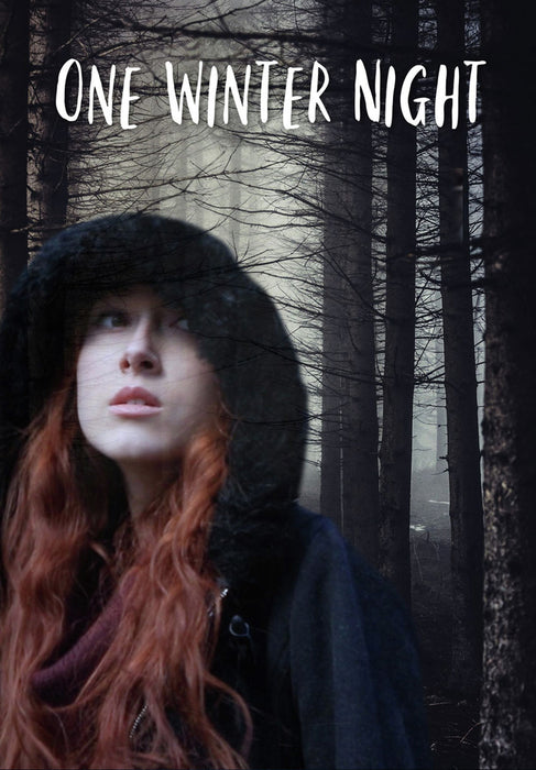 One Winter Night (MOD) (DVD Movie) - movie cover art