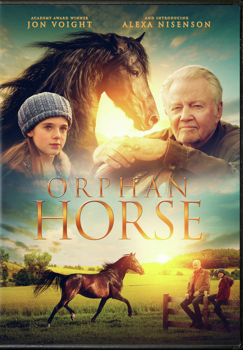 Orphan Horse (MOD) (DVD Movie) - movie cover art