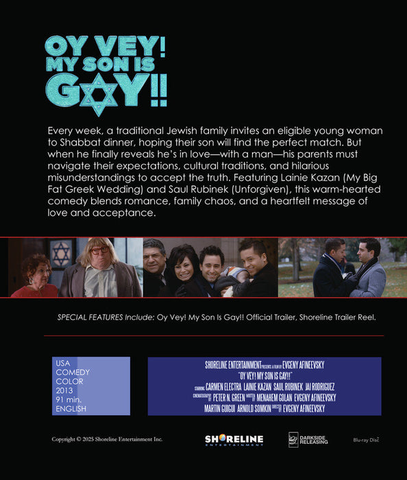 Oy Vey! My Son is Gay!! (MOD) (BluRay Movie) - back cover art